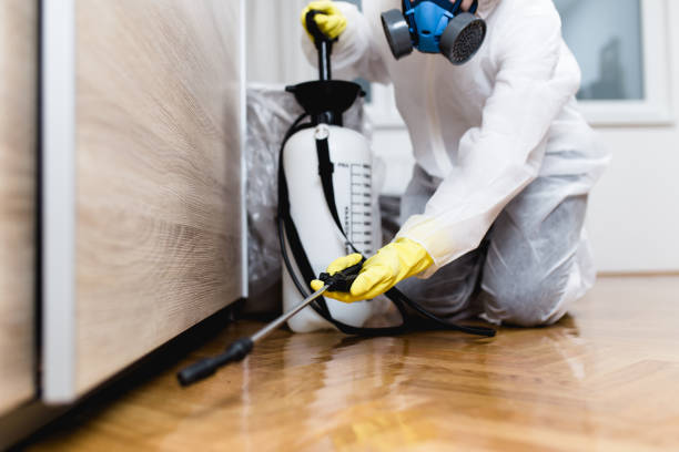 Best Best Pest Control Companies  in Alexandria, VA
