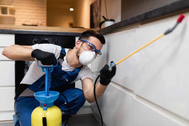 Best Best Pest Control Companies  in Alexandria, VA
