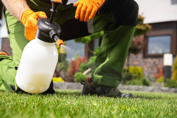 Best Flea Control Services  in Alexandria, VA