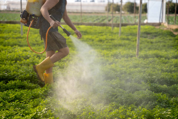 Best Pest Control for Homes  in Alexandria, VA