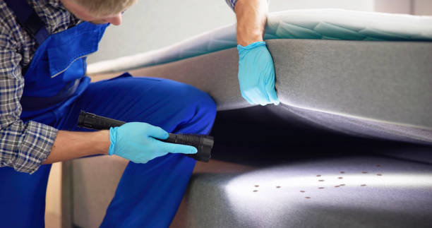 Best Best Pest Control Companies  in Alexandria, VA